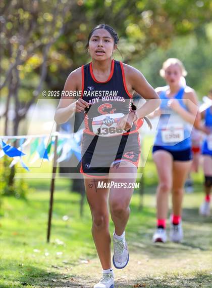 Thumbnail 2 in UIL 2A Girls Cross Country State Final photogallery.
