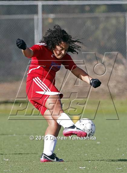 Thumbnail 2 in Swett @ Tennyson photogallery.