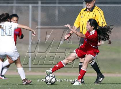 Thumbnail 2 in Swett @ Tennyson photogallery.
