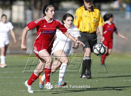Thumbnail 2 in Swett @ Tennyson photogallery.