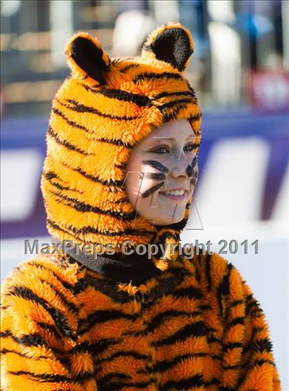 Thumbnail 1 in Oliver Ames vs. Concord-Carlisle (MIAA Division 3 East Final) photogallery.