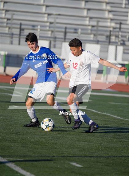 Thumbnail 3 in Bishop Amat vs Hawthorne photogallery.