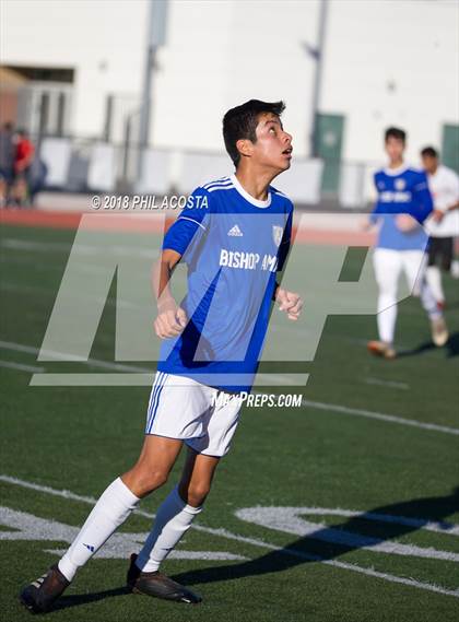 Thumbnail 3 in Bishop Amat vs Hawthorne photogallery.