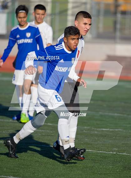 Thumbnail 1 in Bishop Amat vs Hawthorne photogallery.