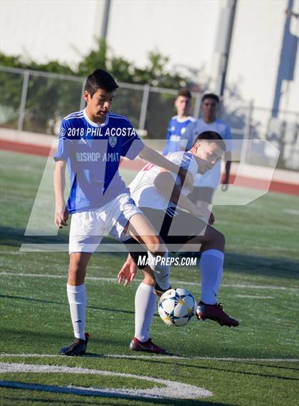 Thumbnail 3 in Bishop Amat vs Hawthorne photogallery.