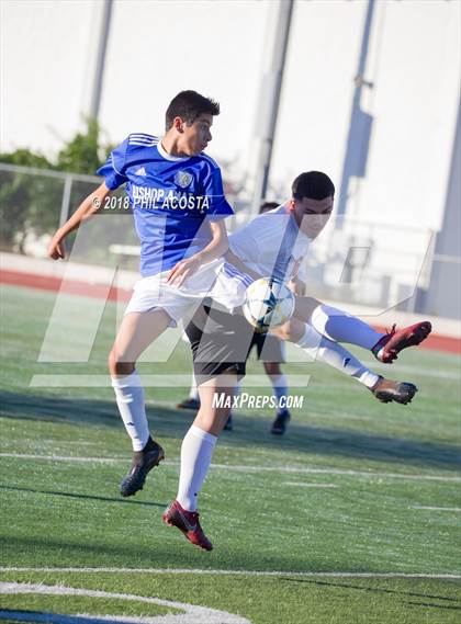 Thumbnail 3 in Bishop Amat vs Hawthorne photogallery.