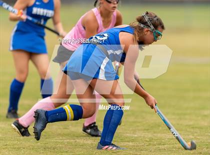 Thumbnail 3 in Norview @ Tallwood photogallery.