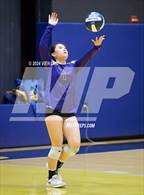 Photo from the gallery "College Park @ Berean Christian"