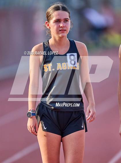 Thumbnail 1 in Eagle No Tax Relays (800M) photogallery.