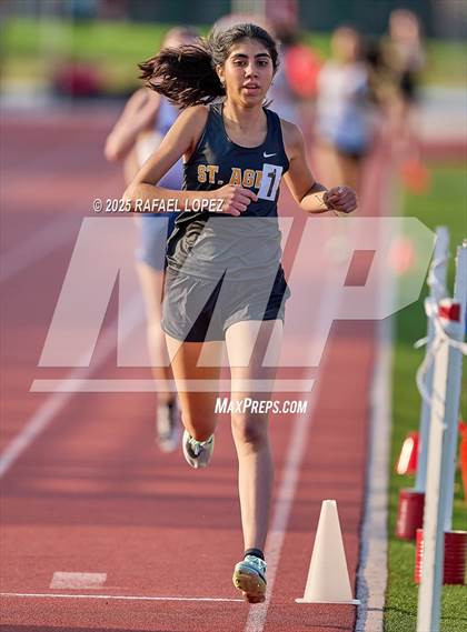 Thumbnail 1 in Eagle No Tax Relays (800M) photogallery.