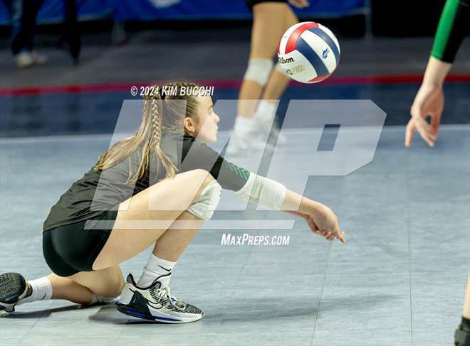 null - Photo 21