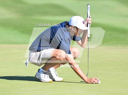 Thumbnail 1 in AIA Division I Finals photogallery.