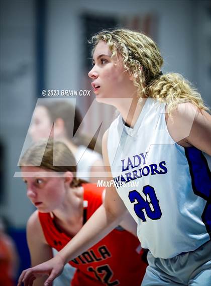 Thumbnail 2 in FR: Viola @ Cotter photogallery.