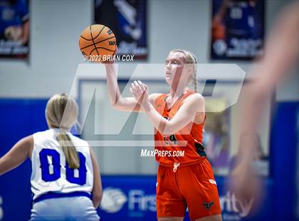 Thumbnail 3 in FR: Viola @ Cotter photogallery.