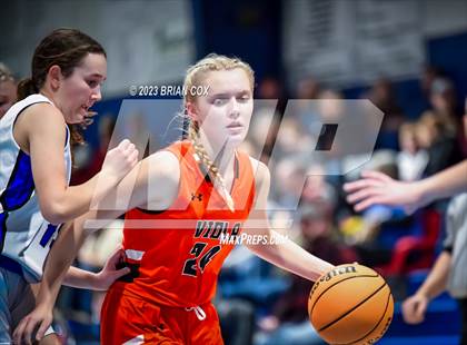 Thumbnail 1 in FR: Viola @ Cotter photogallery.