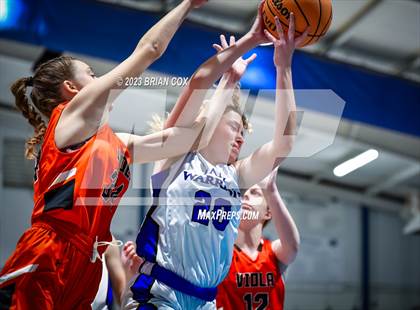Thumbnail 1 in FR: Viola @ Cotter photogallery.