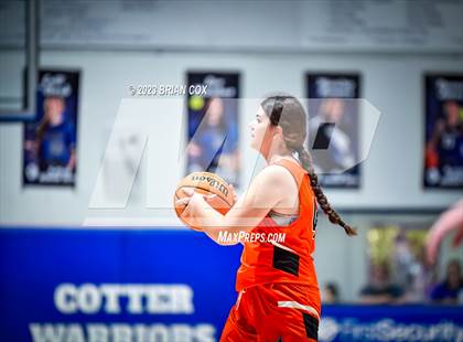 Thumbnail 3 in FR: Viola @ Cotter photogallery.