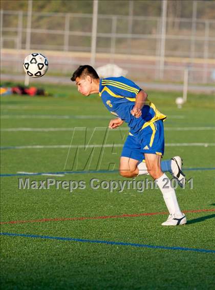 Thumbnail 2 in Panas @ Arlington photogallery.