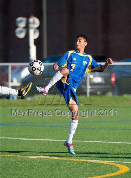 Thumbnail 1 in Panas @ Arlington photogallery.