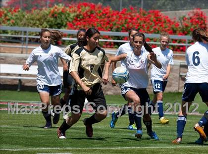 Thumbnail 3 in Trinity Prep vs. Millennium (CIF SJS D7 Final) photogallery.