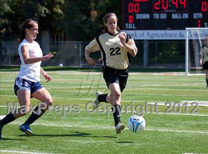 Thumbnail 1 in Trinity Prep vs. Millennium (CIF SJS D7 Final) photogallery.