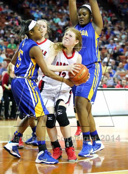 Thumbnail 1 in Argyle vs. La Vega (UIL 3A Final) photogallery.