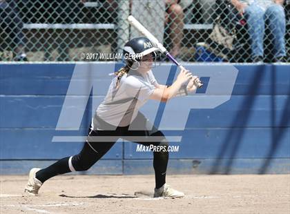 Thumbnail 1 in Archbishop Mitty vs. Saint Francis (CIF CCS Open Division Final) photogallery.