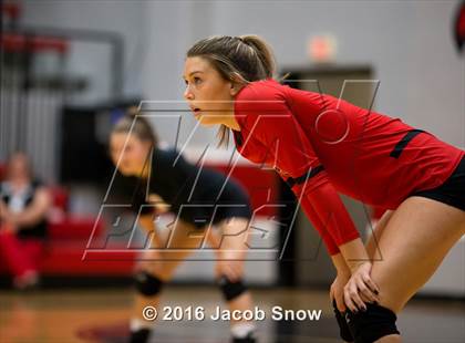 Thumbnail 2 in Midland Lee @ Cooper photogallery.