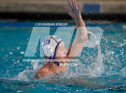 Thumbnail 3 in Aloha @ Curtis  photogallery.