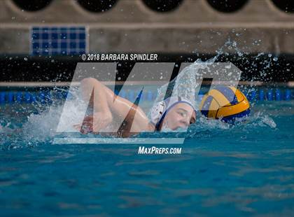 Thumbnail 2 in Aloha @ Curtis  photogallery.