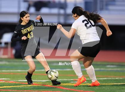 Thumbnail 1 in JV: Arroyo @ Hayward photogallery.