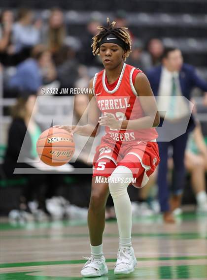 Thumbnail 1 in Terrell @ Caddo Mills photogallery.