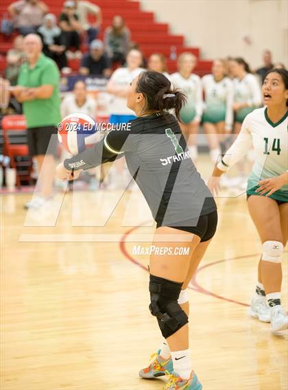 Thumbnail 1 in South @ Redondo Union photogallery.