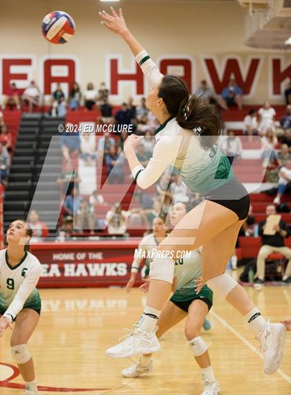 Thumbnail 1 in South @ Redondo Union photogallery.