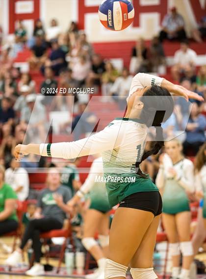 Thumbnail 3 in South @ Redondo Union photogallery.