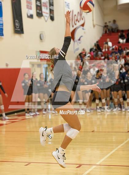 Thumbnail 3 in South @ Redondo Union photogallery.