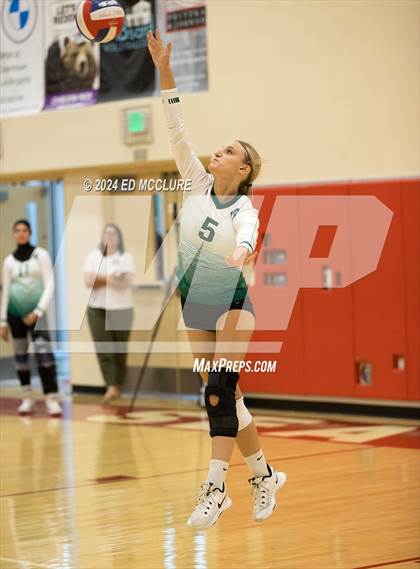 Thumbnail 1 in South @ Redondo Union photogallery.