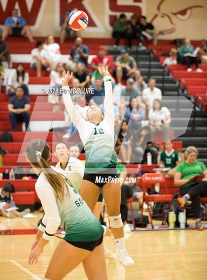 Thumbnail 3 in South @ Redondo Union photogallery.
