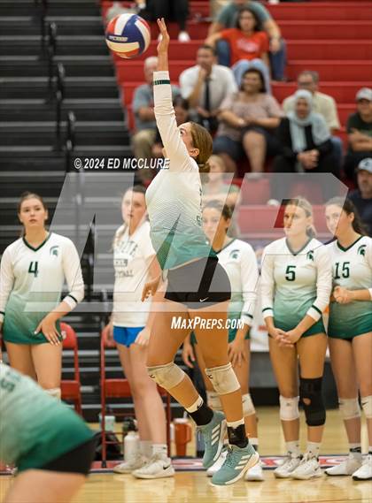 Thumbnail 3 in South @ Redondo Union photogallery.