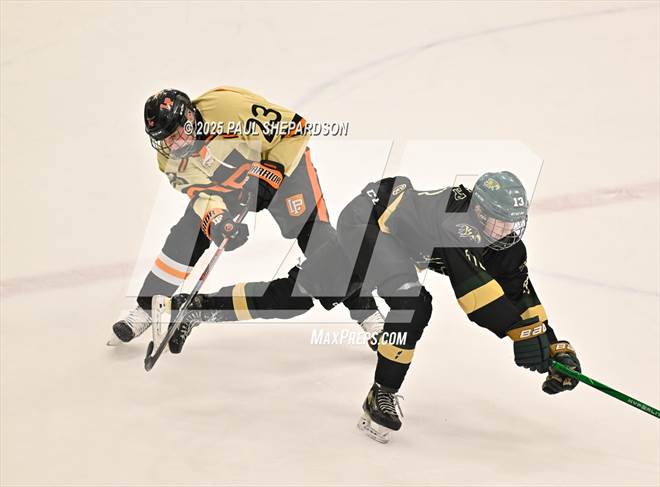 null - Photo 21
