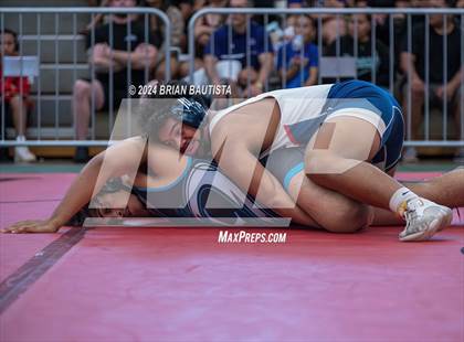 Thumbnail 3 in OIA Wrestling Championships photogallery.