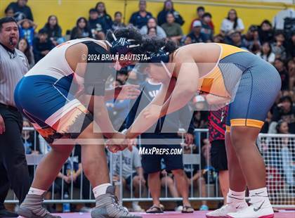 Thumbnail 1 in OIA Wrestling Championships photogallery.