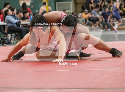 Thumbnail 1 in OIA Wrestling Championships photogallery.