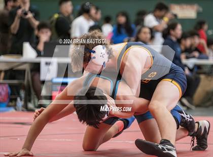 Thumbnail 3 in OIA Wrestling Championships photogallery.