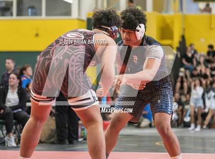 Thumbnail 2 in OIA Wrestling Championships photogallery.