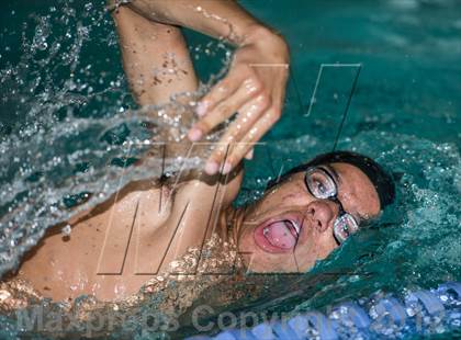 Thumbnail 1 in Conference Swim Meet  photogallery.
