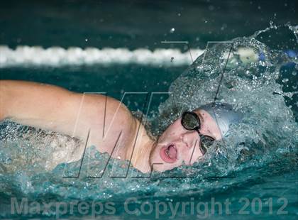 Thumbnail 2 in Conference Swim Meet  photogallery.