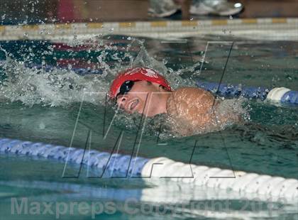 Thumbnail 2 in Conference Swim Meet  photogallery.