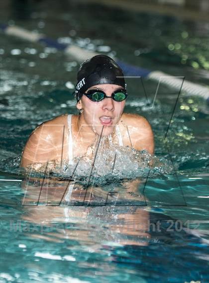 Thumbnail 2 in Conference Swim Meet  photogallery.