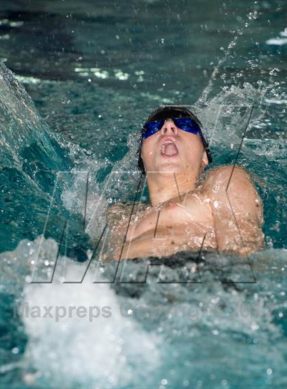 Thumbnail 2 in Conference Swim Meet  photogallery.